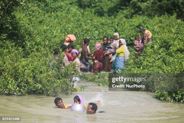 Rohingya Muslims, fled from ongoing military operations in Myanmars Rakhine state make their way through muddy water after crossing the...