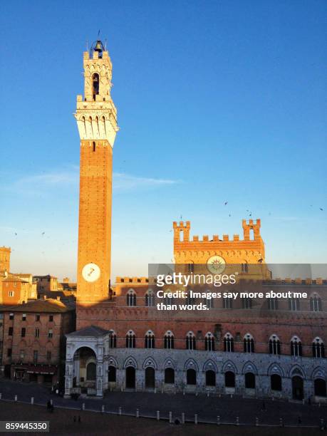 palazzo publico, piazza del campo - siena. - publico stock pictures, royalty-free photos & images