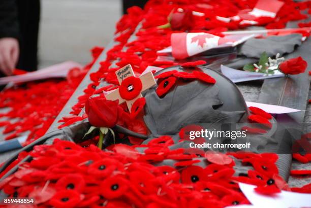 dia do armistício - remembrance day - fotografias e filmes do acervo