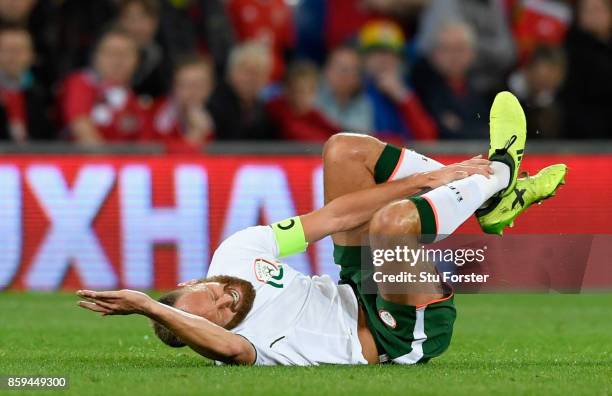 David Meyler of the Republic of Ireland is injured during the FIFA 2018 World Cup Group D Qualifier between Wales and Republic of Ireland at the...