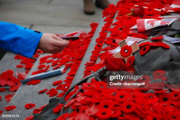 dia do armistício - remembrance day - fotografias e filmes do acervo