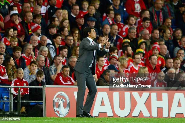Chris Coleman, Manager of Wales gives instructions during the FIFA 2018 World Cup Group D Qualifier between Wales and Republic of Ireland at the...