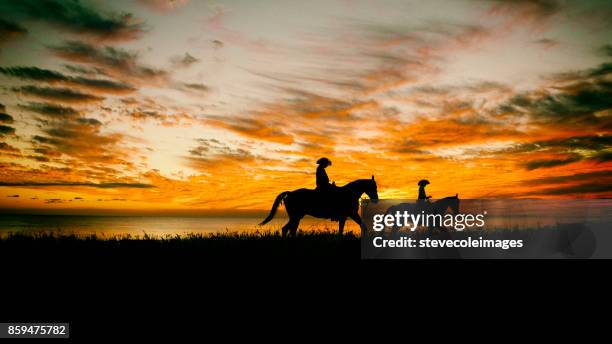 cowboy solitario - cowboy sillouette foto e immagini stock