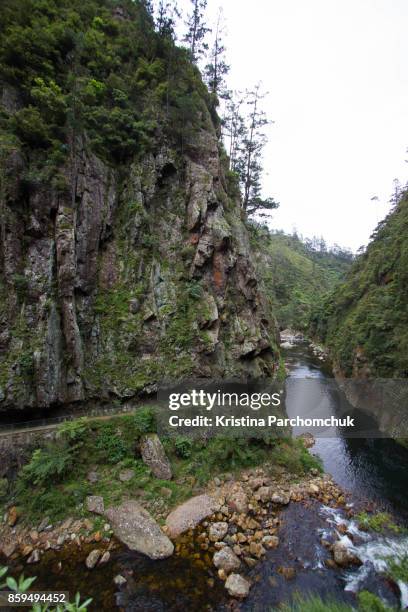 Kaima Ranges 22 Kaimai Range Stock Photos, High-Res Pictures, and Images - Getty Images