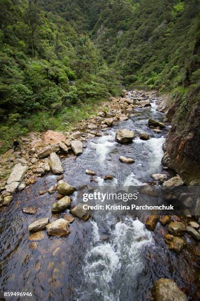 Kaimai Rivers Kaimai Range Photos and Premium High Res Pictures - Getty Images