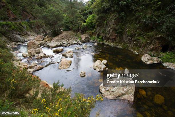 Kaimai Rivers Kaimai Range Fotografías e imágenes de stock - Getty Images