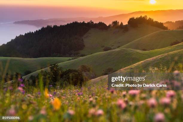 mount tamalpais - nordkalifornien stock-fotos und bilder