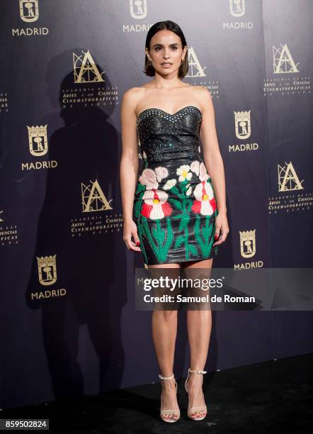 Veronica Echegui during 'Hollywood- Madrid' Cocktail on October 9, 2017 in Madrid, Spain.