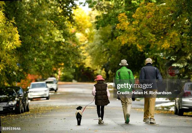 Celeste Bizzarro-Parkin left, walks with her grand aunt Anne Guthrie, grand uncle Tom Woodard, right, and her dog Nollie as they enjoy a cool...