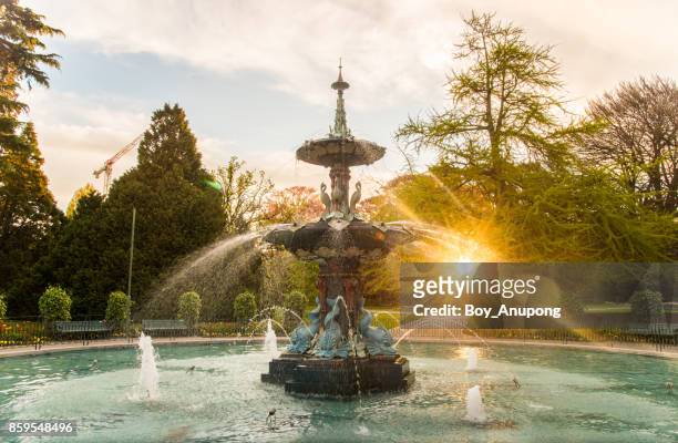 the peacock fountain during the sunset in christchurch botanic gardens, new zealand. - christchurch new zealand stock pictures, royalty-free photos & images