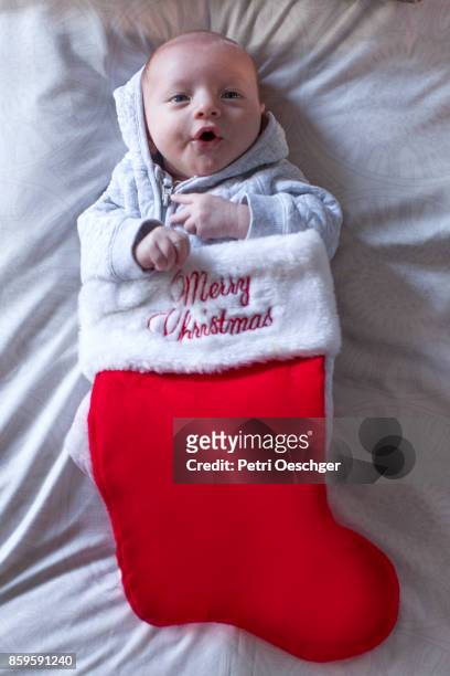 summer christmas - stockings stock pictures, royalty-free photos & images