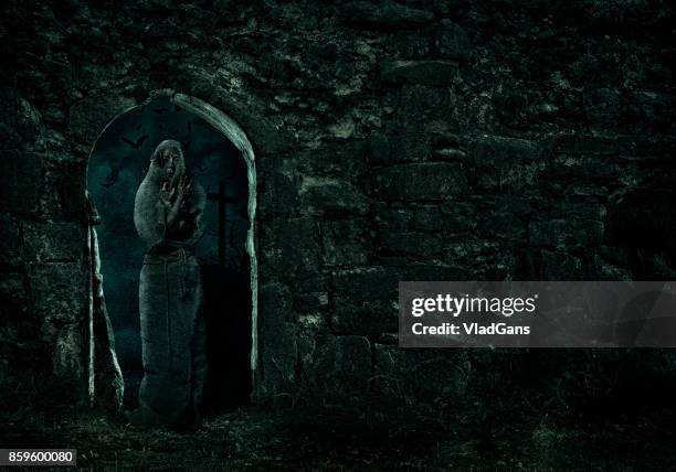 vampiro en cementerio - monja fotografías e imágenes de stock