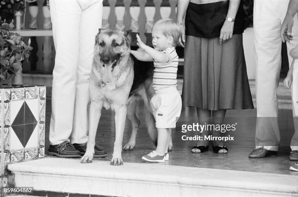 Prince Harry befriends the family dog. Rest of this picture set : Princess Diana,The Princess of Wales and her husband Prince Charles, The Prince of...