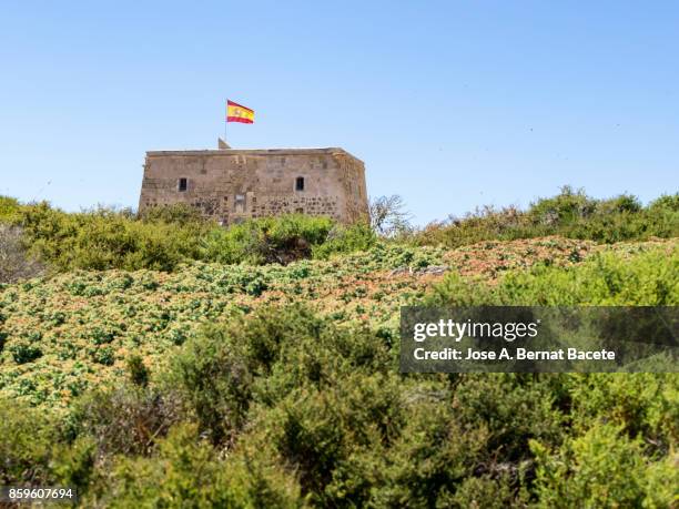 old medieval defense tower, surrounded by sand dunes to ward off pirates on the island of tabarca, valencian community,  mediterranean sea, spain - tabarca stockfoto's en -beelden