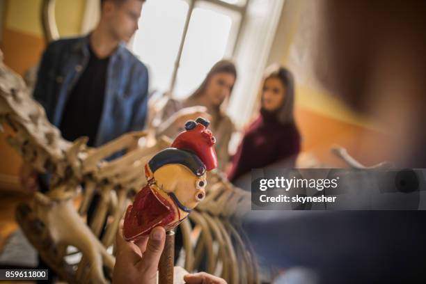 close up of teacher holding artificial heart during biology lesson. - anatomical model stock pictures, royalty-free photos & images