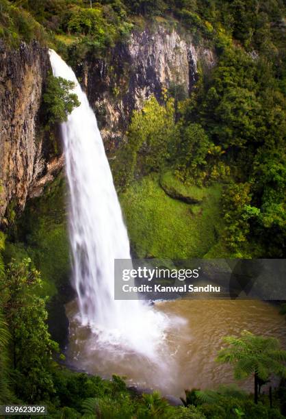 stunning bridal veil falls from very high vantage point. - raglan nya zeeland bildbanksfoton och bilder