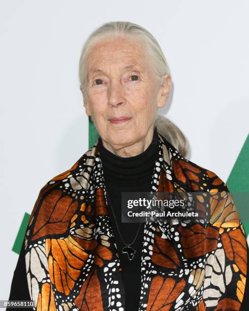 Primatologist Dr. Jane Goodall attends the premiere of National Geographic documentary films' "Jane" at the Hollywood Bowl on October 9, 2017 in...