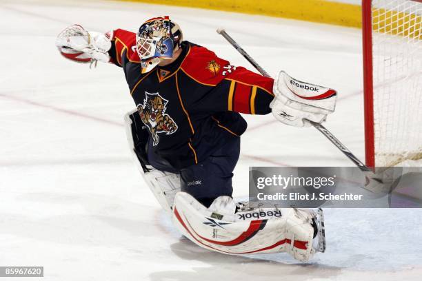 Goaltender Tomas Vokoun of the Florida Panthers makes a glove save against the Washington Capitals at the Bank Atlantic Center on April 11, 2009 in...