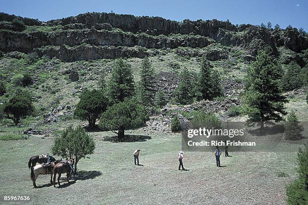 Springerville Animal 14 South Fork Canyon Springerville Stock Photos, High-Res Pictures, and ...