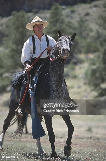 Springerville Animal 14 South Fork Canyon Springerville Stock Photos, High-Res Pictures, and ...