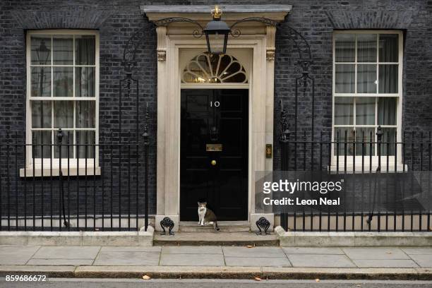 Larry the Number 10 house cat sits on the step in Downing Street, during a Cabinet meeting on October 10, 2017 in London, England. The meeting was...