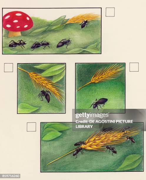 Insect In Ear Cartoon 663 Insect In Ear Stock Photos, High-Res Pictures, and Images - Getty ...