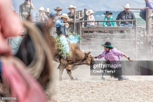 rodeo clown touches a bull during a bull riding competition at a rodeo - rodeo clown stock pictures, royalty-free photos & images