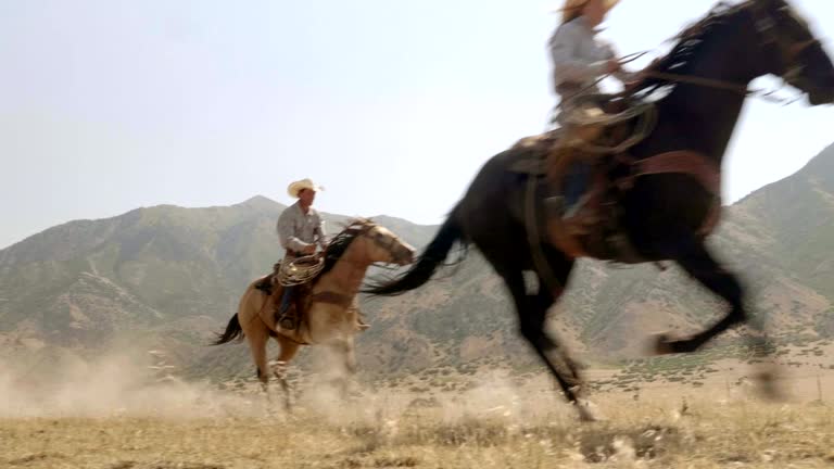 2 519 Riding Cowgirl Stock Videos Footage 4K Video Clips Getty Images 2-519-riding-cowgirl-stock-videos-footage-4k-video-clips-getty-images