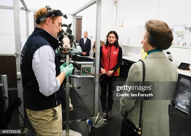 Princess Anne, Princess Royal, observes a horse dental examination taking place as she visits the Hambleton Equine Clinic on October 10, 2017 in...