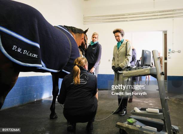Princess Anne, Princess Royal, observes a leg scan taking place on a stallion as she visits the Hambleton Equine Clinic on October 10, 2017 in...