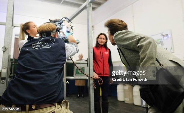 Princess Anne, Princess Royal, observes a horse dental examination taking place as she visits the Hambleton Equine Clinic on October 10, 2017 in...