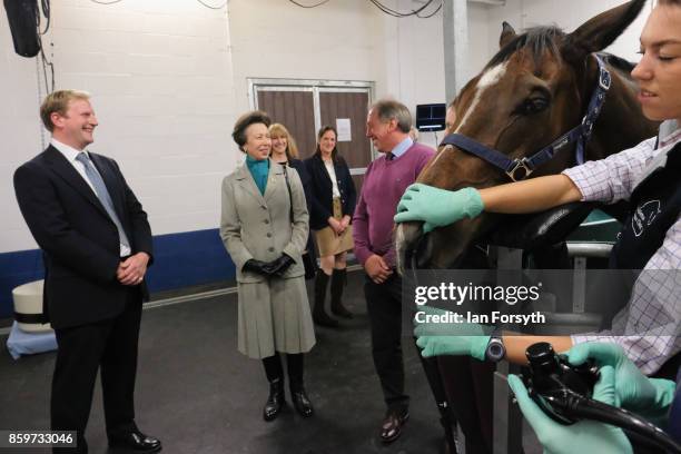 Princess Anne, Princess Royal, observes a horse gastroscopy taking place as she visits the Hambleton Equine Clinic on October 10, 2017 in Stokesley,...