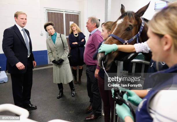 Princess Anne, P2rincess Royal, observes a horse gastroscopy taking place as she visits the Hambleton Equine Clinic on October 10, 2017 in Stokesley,...