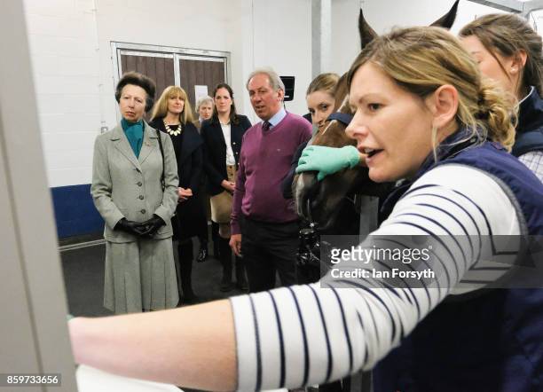 Princess Anne, Princess Royal, observes a horse gastroscopy taking place as she visits the Hambleton Equine Clinic on October 10, 2017 in Stokesley,...
