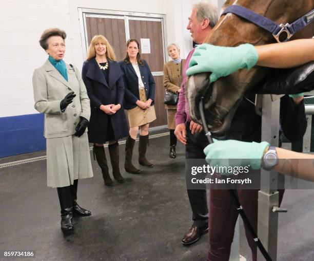 Princess Anne, Princess Royal, observes a horse gastroscopy taking place as she visits the Hambleton Equine Clinic on October 10, 2017 in Stokesley,...