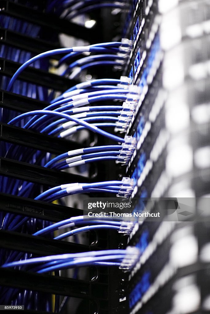 Close up of cables connected to a server.