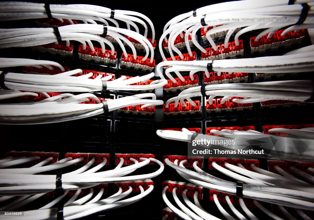 Close up of cables connected to a server.