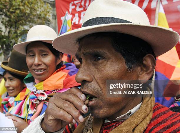 An Aymara peasant chews coca leaves during a rally April 14, 2009 in La Paz. AFP PHOTO/ Aizar RALDES