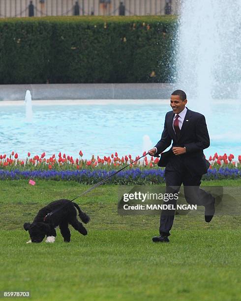 President Barack Obama runs with the new family dog Bo, a Portuguese water dog, on April 14, 2009 on the South Lawn of the White House in Washington....