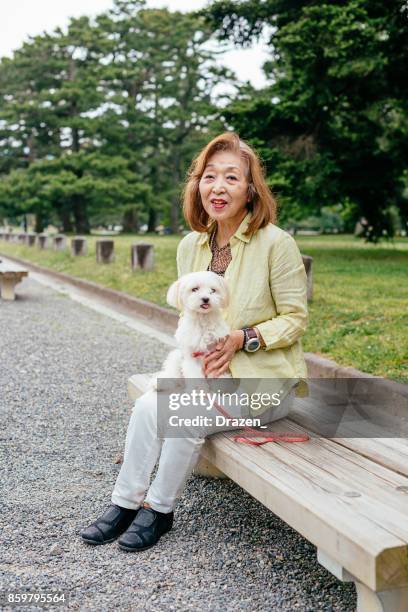 happiness and shine in age of eighty-something - woman dog bench stock pictures, royalty-free photos & images