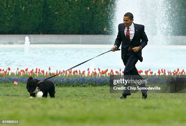 President Barack Obama runs with his family's new dog, a Portuguese water dog named Bo, on the South Lawn of the White House April 14, 2009 in...