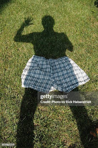 shadow wearing boxer shorts - shawnee kansas foto e immagini stock