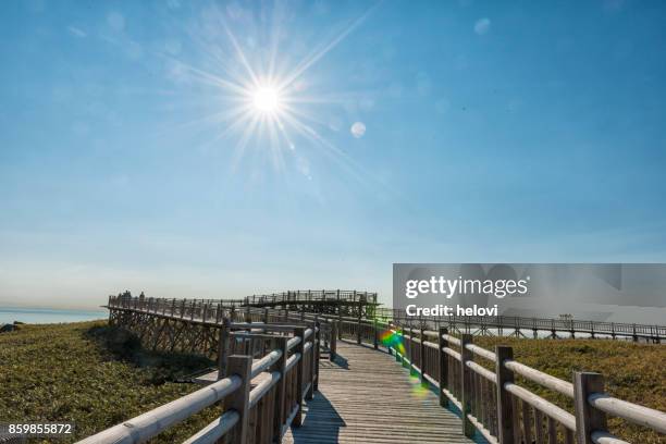 shiretoko national park - shiretoko stock pictures, royalty-free photos & images