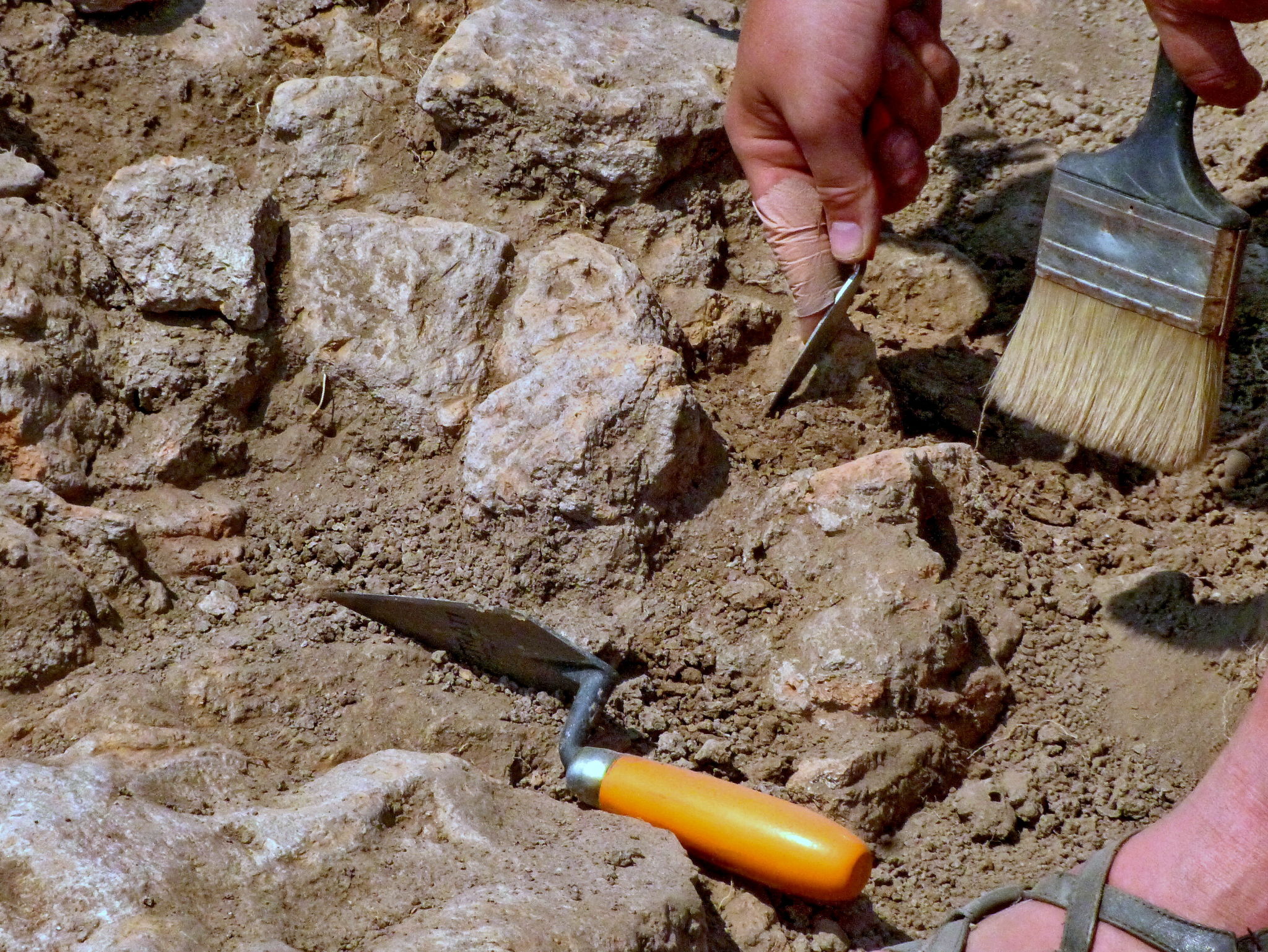 archeologist working