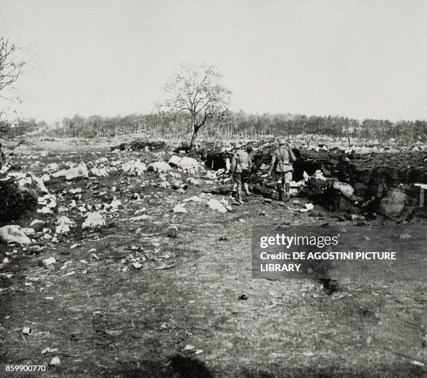 The old trenches from where the Italian forces attacked Bosco Cappuccio in November 1915, Karst region, Italy, World War I, photo by Aldo Molinari...