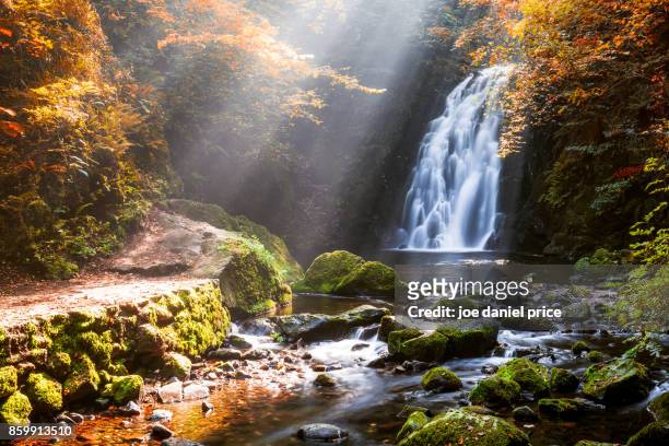 glenoe waterfall, county antrim, northern ireland - northern ireland foto e immagini stock