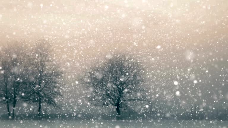 Snowfall Loop 4,988 Falling Snow Loop Stock Videos, Footage, & 4K Video Clips - Getty ...