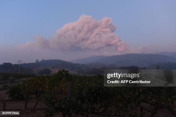 Plume of smoke billows over Napa in California on October 10, 2017. Firefighters battled wildfires in California's wine region on Tuesday as the...