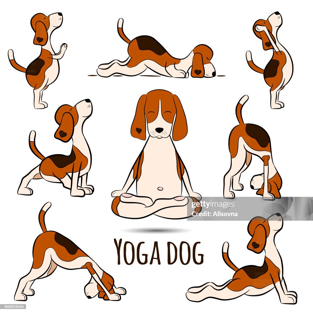 Cartoon Funny Dog Doing Yoga Position Of Surya Namaskara High-Res Vector  Graphic - Getty Images