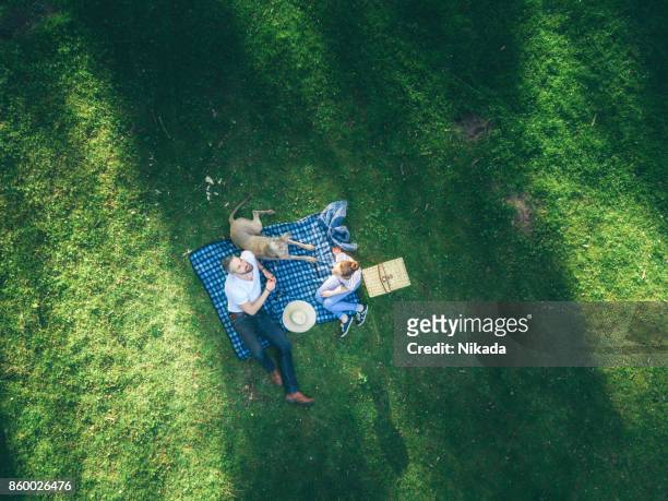 obere ansicht von glücklicher vater mit tochter im teenageralter und hund liegend auf einer decke in einem park - family picnic stock-fotos und bilder